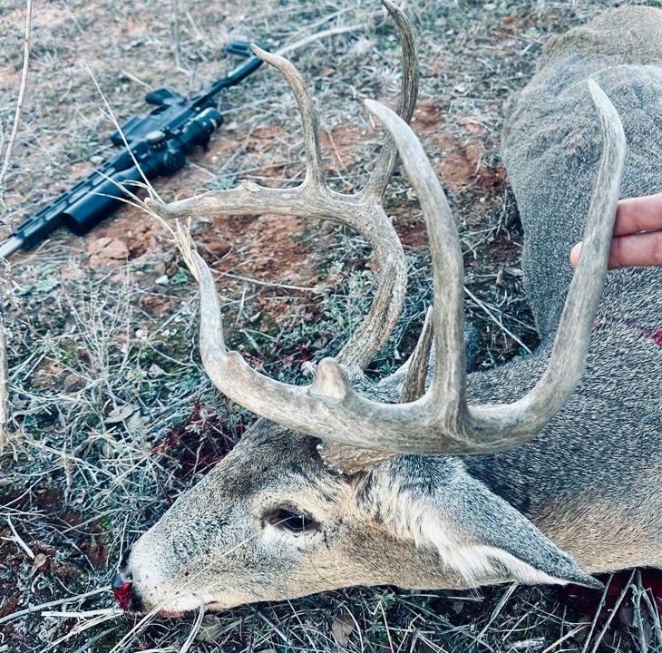 Choosing the Best Caliber for Whitetail Deer Hunting: Expert Guide for Serious Hunters.