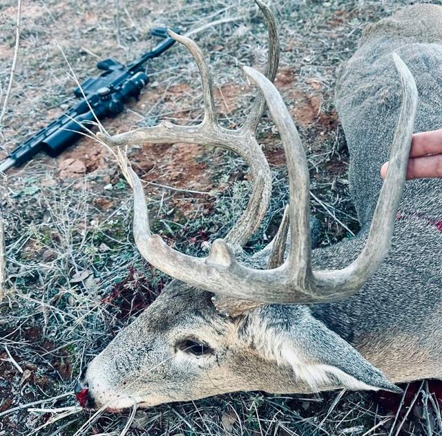 Choosing the Best Caliber for Whitetail Deer Hunting: Expert Guide for Serious Hunters.