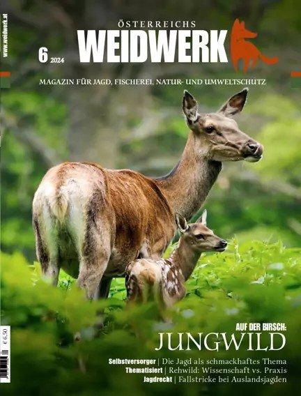 Photo from news post