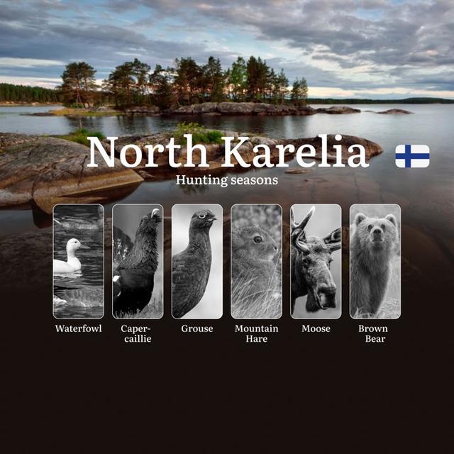 Hunting Seasons in NORTH KARELIA: Season Dates, Protected Species, Permit Requirements, Crucial Regulations and Penalties for Violating Laws