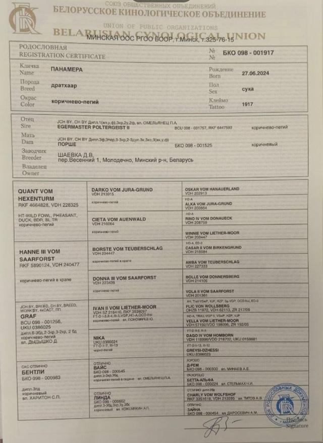 Photo from news post