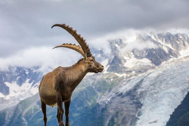 Jagd im Bezirk Einsiedeln (Kanton Schwyz), Schweiz: Merkmale, Bevölkerung, Jagdansätze, Wildleben, Jagdperioden, Vereine, Bestimmungen und Traditionen