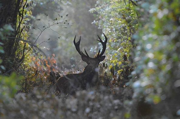 Photo from news post