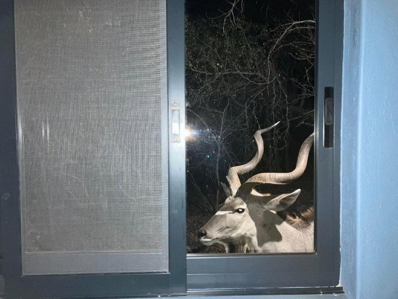 Photo from news post