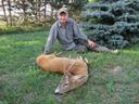 Roebuck hunted in Hungary near the lake Balaton