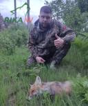 🦊🇧🇾Dobro jutro i produktivan dan svima želi Ilya Zuenka iz Bjelorusije

Još se nije smračilo, ali životinja je već izašla na čistinu u blizini visokonaponskih vodova⚡️

Budući da Ilya ne propušta priliku regulirati broj predatora, lisica nije imala gume💯

Lovac sa poljem🤝