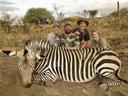 Hunting Cape Mountain Zebra in South Africa: Geography, Conservation, and a Rare Plains Game Challenge

Geography and Natural Features

Cape mountain zebra hunting takes place in South Africa’s most rugged and scenic regions, primarily within the mountainous terrains of the Western and Eastern Cape. Key areas include the Cederberg, Baviaanskloof, and high Karoo plateaus. These zones feature steep ravines, rocky outcrops, and thick scrub, creating a physically demanding hunting environment that is as visually stunning as it is challenging.

Hunting Population

This hunt attracts seasoned international sportsmen and local conservation-minded hunters alike—those who seek more than just a trophy, but a contribution to species preservation. Due to the limited permits and physical difficulty, this hunt tends to appeal to experienced individuals seeking an exclusive and meaningful plains game safari.

Hunting Characteristics in Cape Mountain

Cape mountain zebra hunting is highly specialized, conducted only on private conservancies and government-approved areas under strict quotas. The terrain requires stamina and precision, and the zebras themselves are extremely alert, often fleeing to higher elevations. The hunt demands both physical fitness and tactical patience, making it one of the most elite and respected plains game pursuits in South Africa.

Types of Hunting and Game Species in Cape Mountain

Spot-and-stalk is the primary method used, with hunters glassing from ridges and then navigating rocky slopes to close the distance. Cape mountain zebras are smaller than their Burchell’s cousins, with narrow black-and-white stripes and a clean white belly, plus a distinct neck dewlap.
Other game species commonly found in these areas include kudu, klipspringer, eland, and springbok—allowing for diverse combination safaris.

Hunting Time of the Year in Cape Mountain

The optimal season runs from April through September, aligning with the dry months when vegetation is sparse and tracking is more effective. Cooler temperatures also favor animal movement and allow for longer days in the field. Late afternoons are particularly productive as zebras travel between ridges and feeding grounds.

Hunting Organizations and Clubs

Conservancies offering Cape mountain zebra hunts operate in coordination with provincial wildlife authorities and are often affiliated with national organizations such as PHASA and WRSA. These institutions oversee permit allocations, promote ethical hunting, and ensure that all harvests support broader conservation strategies.

Hunting Regulations

All Cape mountain zebra hunts require a special permit, strictly regulated by conservation agencies. Only mature stallions past breeding age may be hunted. Flat-shooting calibers such as .270, 7mm Rem Mag, and .30-06 are preferred due to shooting distances ranging between 150 and 300 meters. Ethical considerations, including minimizing stress on herds and selective targeting, are central to the hunt.

Hunting Traditions

This is a traditional glass-and-stalk mountain hunt, guided by experienced professional hunters and local trackers who know the terrain intimately. Days are long, often starting at dawn with strategic glassing, and ending around lodge fires with stories and locally sourced meals. Many hunters describe this experience as both a physical journey and a form of mountain meditation.

Interesting Facts about Cape Mountain

The Cape mountain zebra was once critically endangered, with fewer than 100 individuals in the wild. Today, the population exceeds 4,000 thanks to conservation and sustainable hunting efforts.
These zebras have vertical neck stripes and horizontal rump stripes—a unique pattern among African equids.
Unlike Burchell’s zebra, their white underbelly and compact size make them highly distinct and visually striking as trophies.
Their alertness and instinct to flee uphill challenge even seasoned mountain hunters, making each successful stalk especially rewarding.
