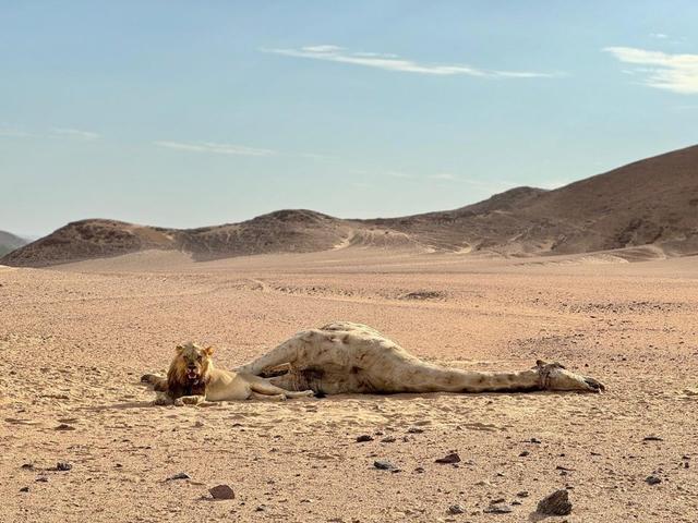 Photo from news post