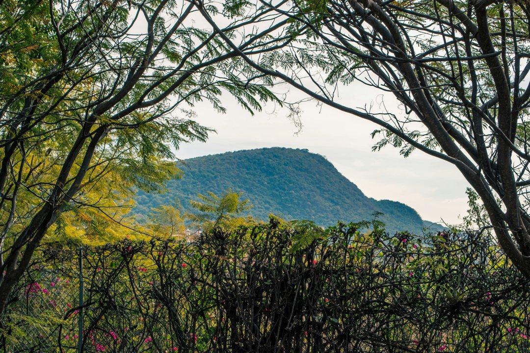 Caza en Quintana Roo: Guía completa para amantes de la caza en México.