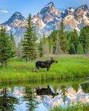 Grand Teton National Park In Wyoming, USA