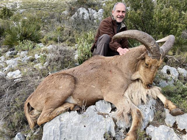 Die Jagd im Bezirk Kirchdorf an der Krems: Naturräume, Aktivitäten, Wildbestände, Kalender, Jagdmethoden, Grundlagen, Gemeinschaften, Jagdgepflogenheiten, Details          
