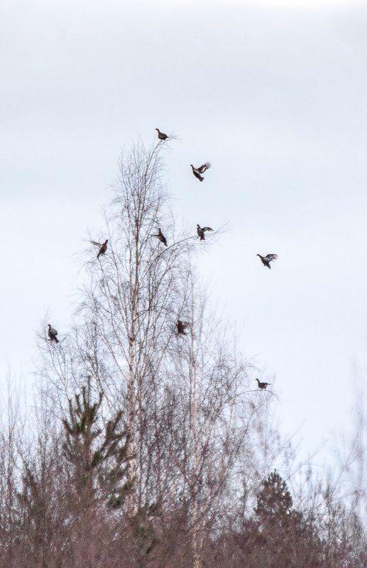 Photo from news post