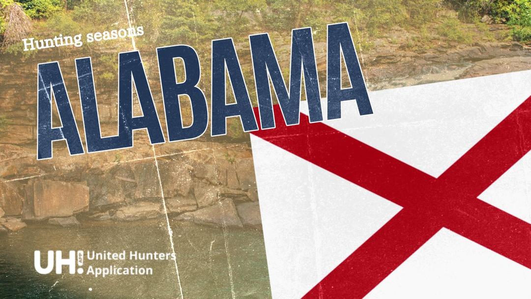 Alabama Hunting Season 2025: Big Game and Small Game, Licenses, and Regulations Guide