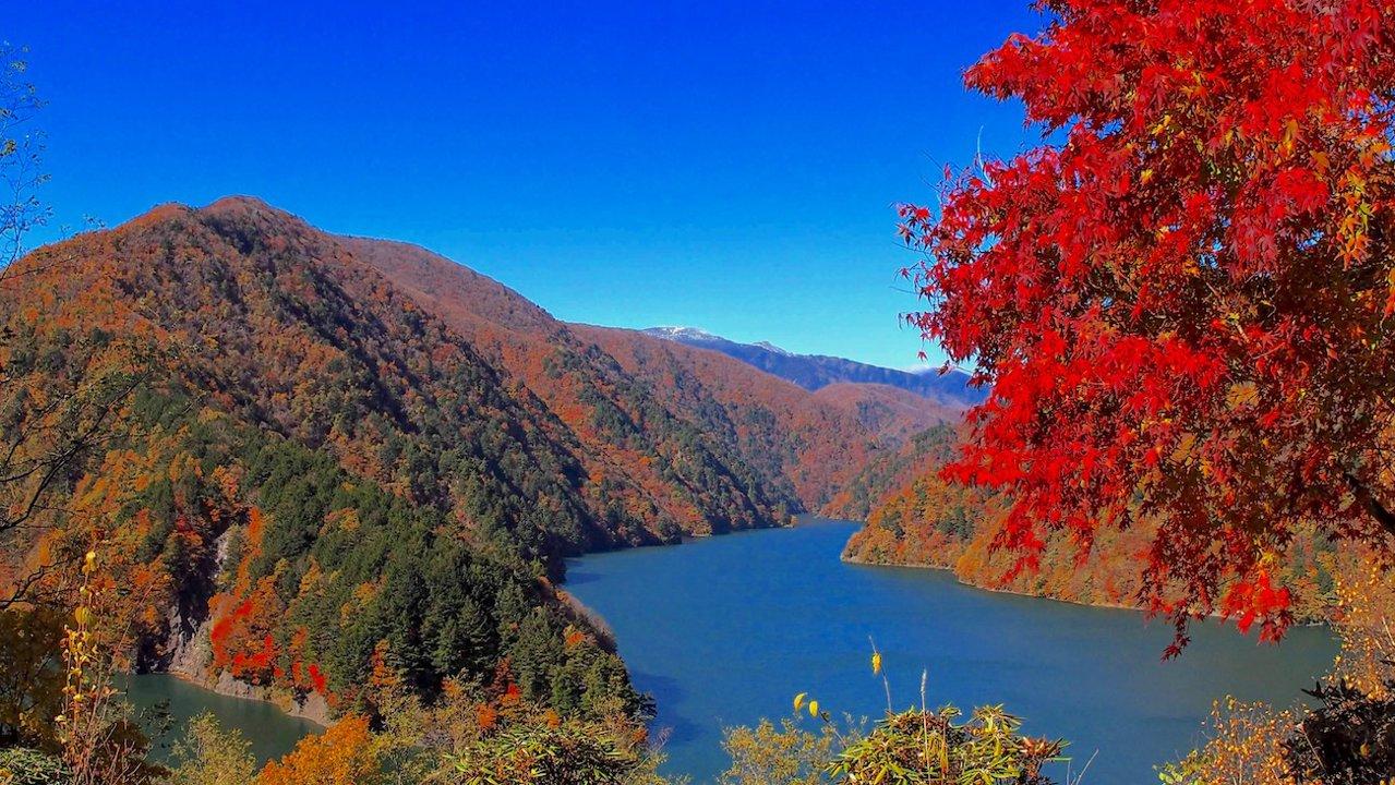 長野県の狩猟地：山岳と自然の恵み
