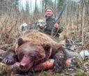 Bear hunting with dogs