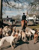 Englische Hunderassen (Rassen Großbritanniens) sind mehr als 60 Rassen, die auf dem Territorium dieses Staates gezüchtet werden. Zu den englischen Hunden zählen viele Art