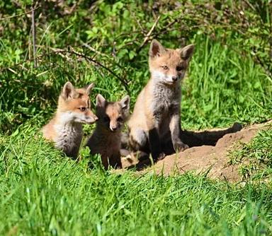 Photo from news post