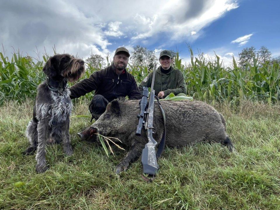 Jagd in SCHLESWIG-HOLSTEIN: Geografische Besonderheiten, Wildreviere, Jagdzeiten und Traditionen im Norden Deutschlands