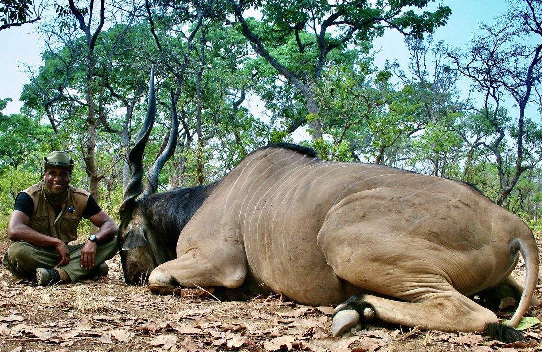 Hunting in Mambéré-Kadéï: Exploring Demographics, Navigating Types of Game, and Discovering Local Traditions