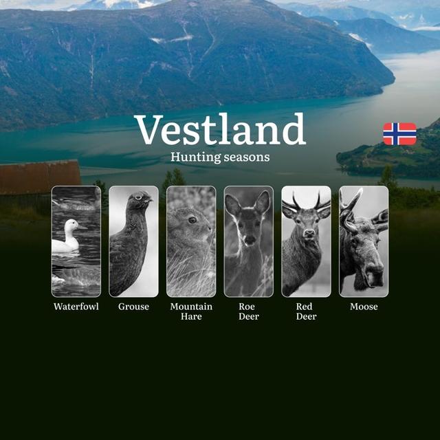 Hunting Periods and Local Rules in Vestland: Species You Can Hunt Throughout the Year, Seasonal Activity of Game, and the Steps to Get a Legal Hunting License in the Region
