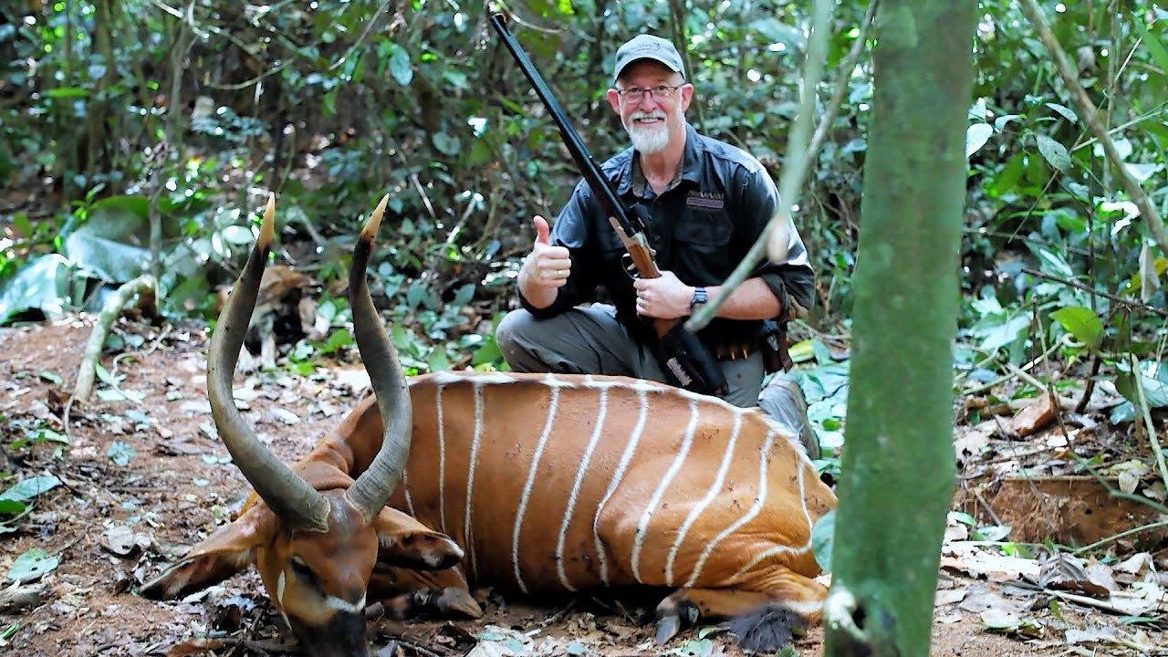 Hunting in Mongala: Environmental Riches, Community-Based Hunting, and Wildlife Variety