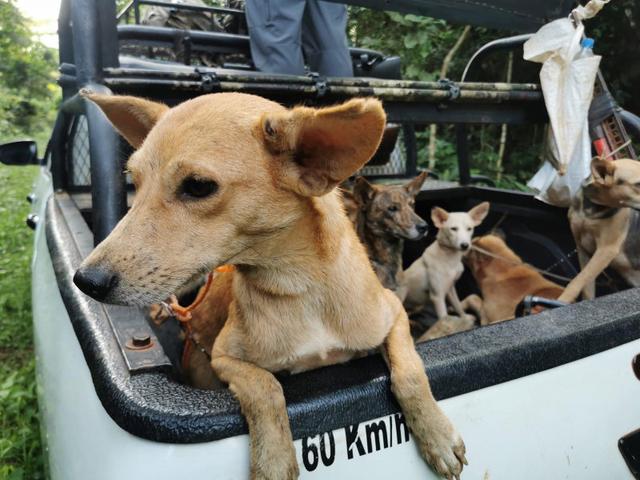 Photo from news post