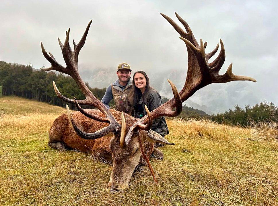 Red Stag Gold Class Hunting in New Zealand: The Ultimate Trophy Experience 🦌