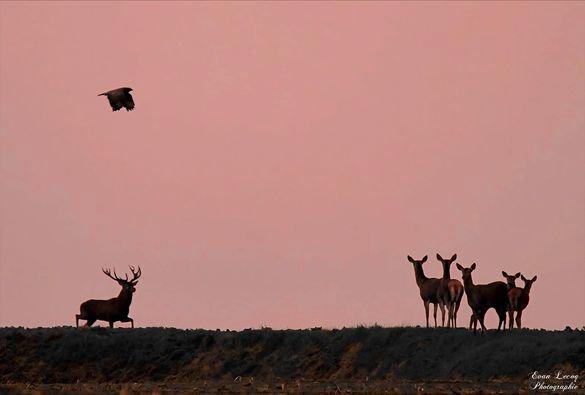Photo from news post