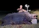 "Biggest bow boar to date, by far!!! Can you guess the weight?" - Quick Catch