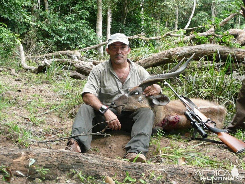 Hunting in Haut-Ogooué, Gabon:  Clubs and Laws, Legislation and Seasons, All the Hunting Aspects of Gabon