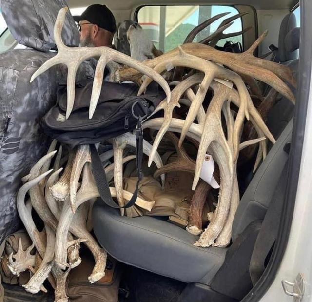 Photo from news post