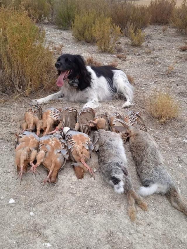 Photo from news post