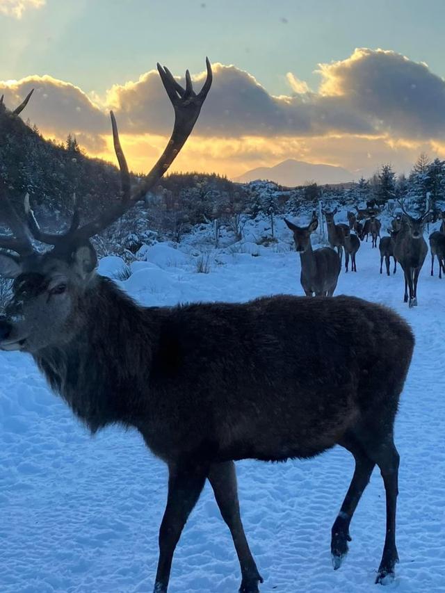 Photo from news post
