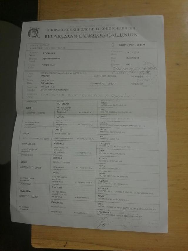 Photo from news post