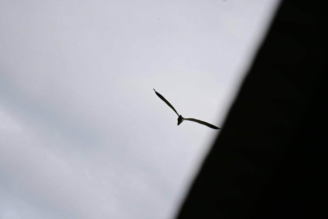 Photo from news post