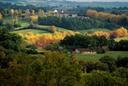 Chasse en GASCOGNE: Géographie diversifiée, traditions locales, législation cynégétique et gibier typique

La Gascogne, région historique du sud-ouest de la France, est r