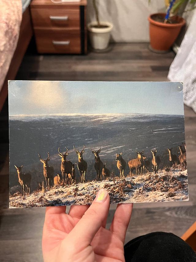 Photo from news post