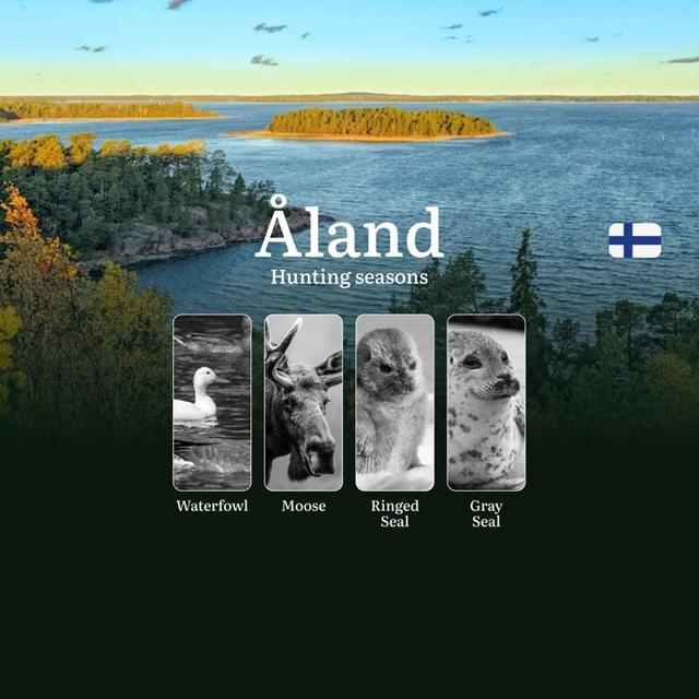 Maritime Hunting in ÅLAND: Seasons, Regional Specifics, Game Activity,  Legal Restrictions and Vital Rules