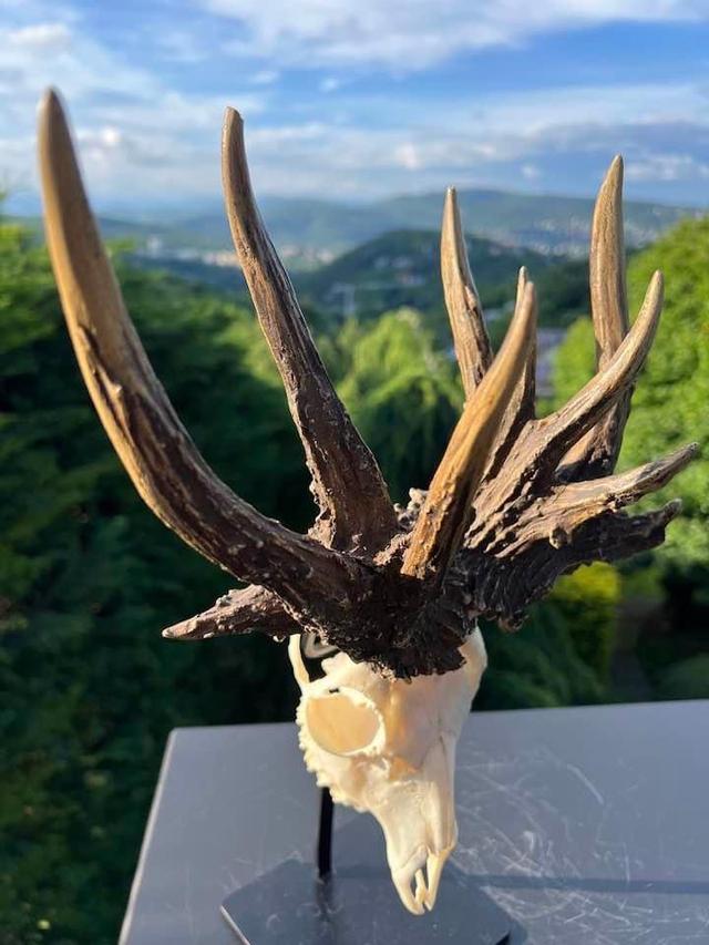 Photo from news post