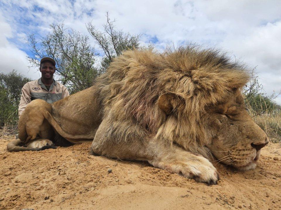 Discovering Bulambuli, Uganda: A Premier Destination for Thrilling Hunting Adventures and Rich Biodiversity