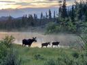 Morning sunrise! My first time at RMNP will always have a special place in my heart! 💙

