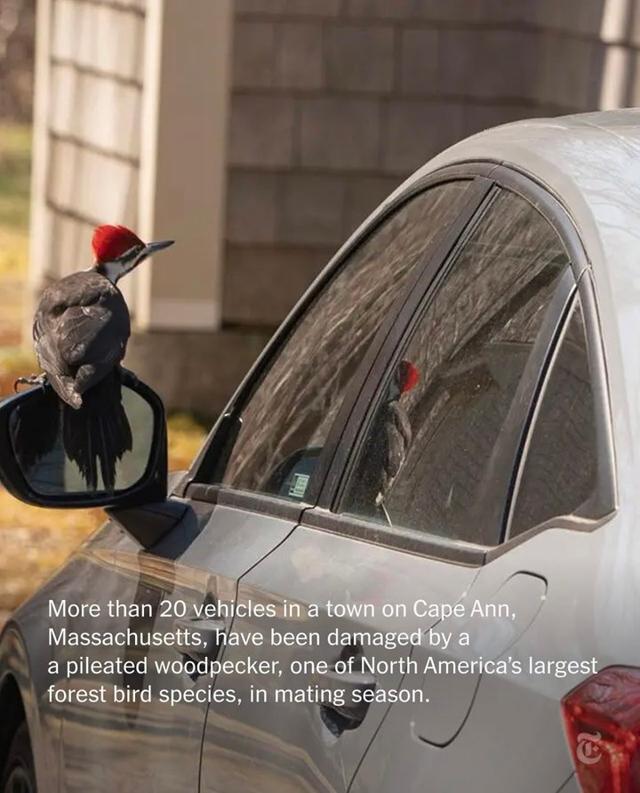Photo from news post