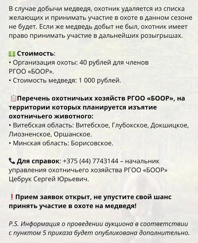 Организация охоты на МЕДВЕДЯ