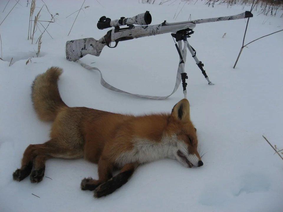 Photo from news post