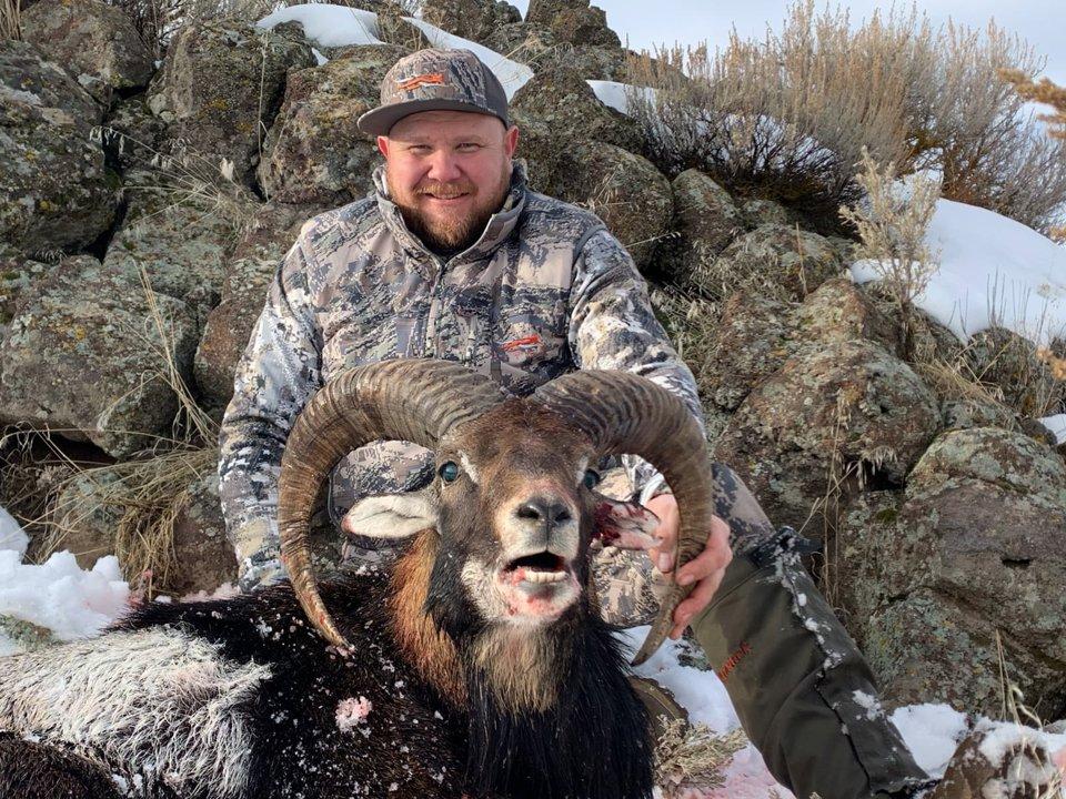 Jagd im Bezirk Neusiedl am See: Jagdhabitate, Jagdangebote, Jagdzeiten, Jagdmethoden, Besonderheiten, Jägerstatistik, Bräuche, Jagdorganisationen, Top-Jagdgebiete, Fakten