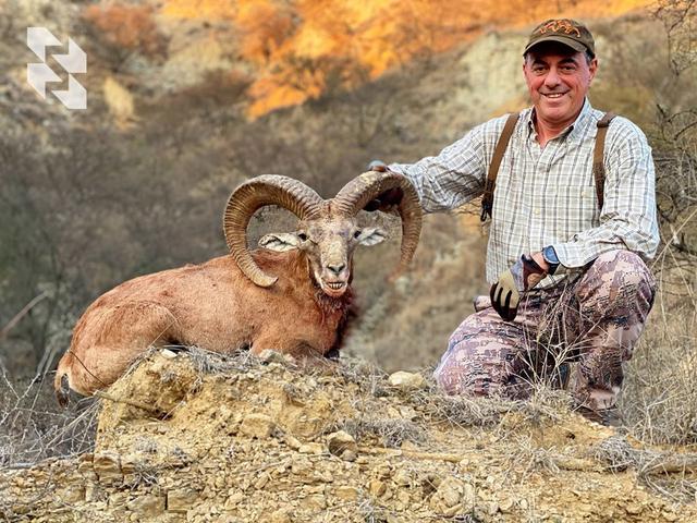 Trophy Universal: Urial
