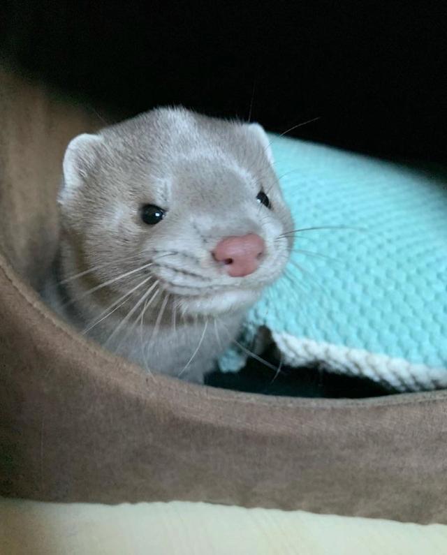 Photo from news post