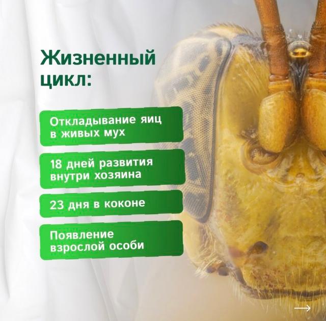 Photo from news post