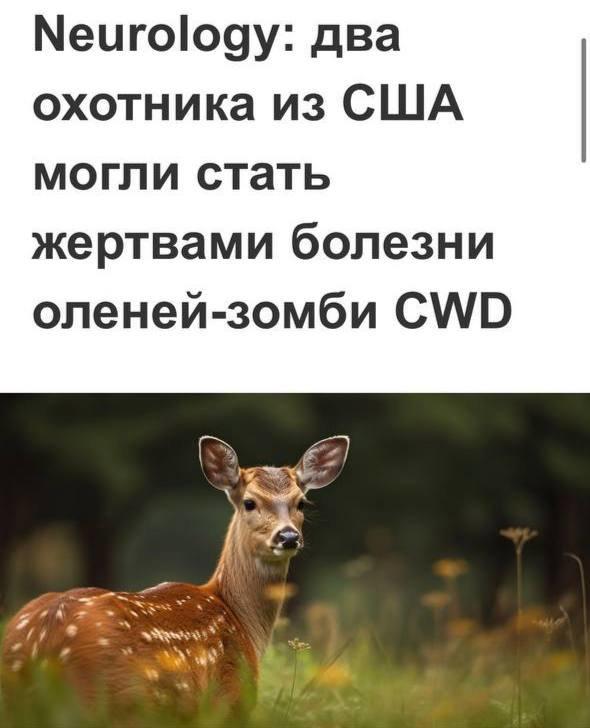 Repost image
