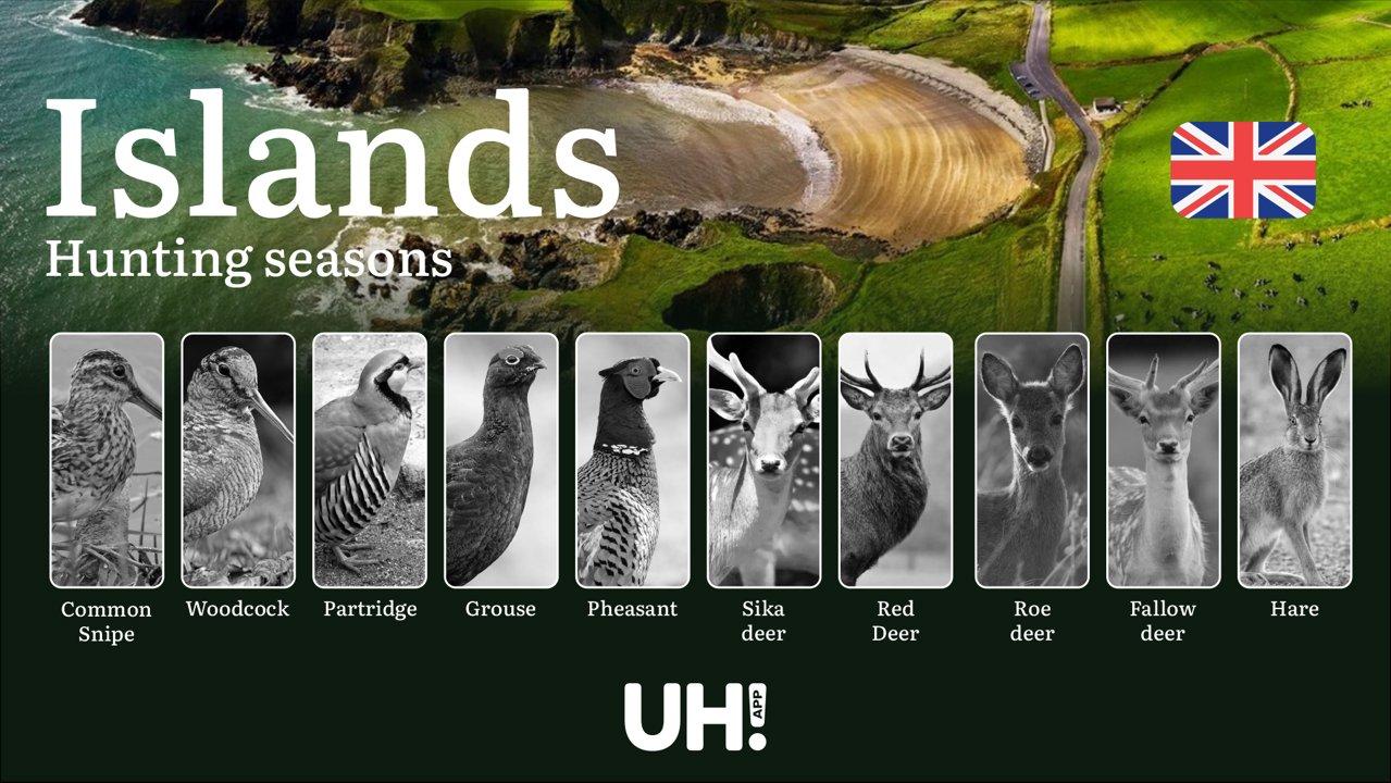 Hunting in Islands: Season Dates and Game Patterns, License Requirements and Regional Regulations